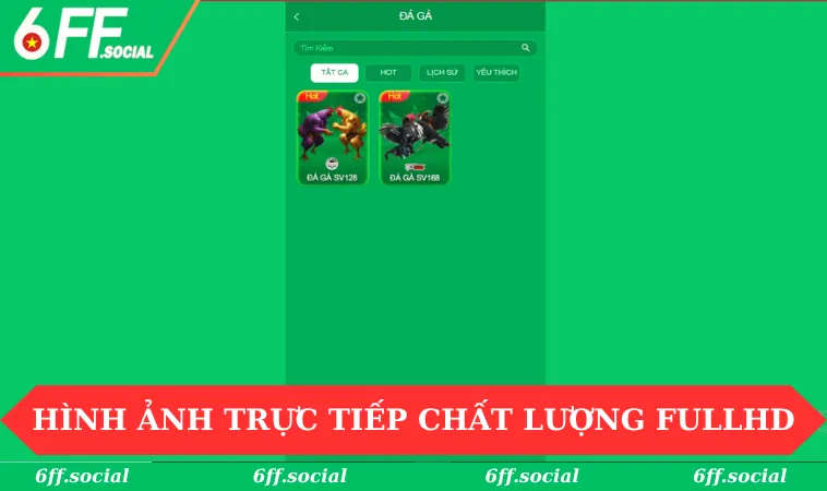 Đá gà 6FF 2 Hình ảnh trực tiếp chất lượng fullHD