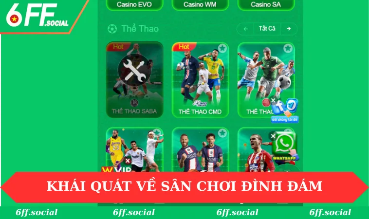 Giới thiệu 6FF 1 Khái quát về sân chơi đình đám hiện nay