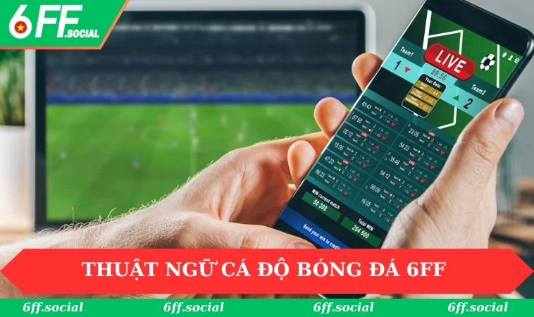 Thuật Ngữ Cá Độ Bóng Đá