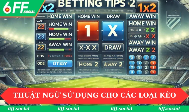 Thuật Ngữ Cá Độ Bóng Đá - 6FF Cập Nhật Tân Binh Nên Học Hỏi 2 Thuật ngữ sử dụng riêng cho các loại kèo