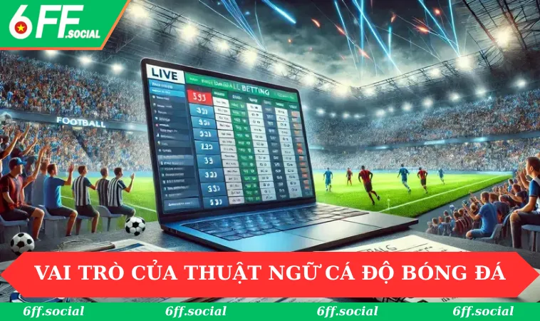 Thuật Ngữ Cá Độ Bóng Đá - 6FF Cập Nhật Tân Binh Nên Học Hỏi 1 Vai trò của thuật ngữ cá độ bóng đá